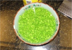 1_veg1 1_veg1
