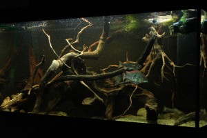2011_03_23_0030