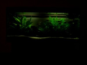Img_12 Img_12