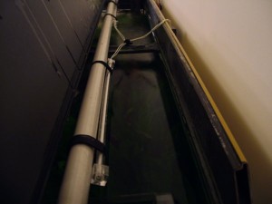 Img_8 Img_8