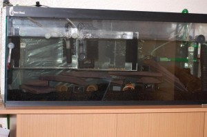 pic1 Full Tank Shot