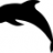 Blackdolphin
